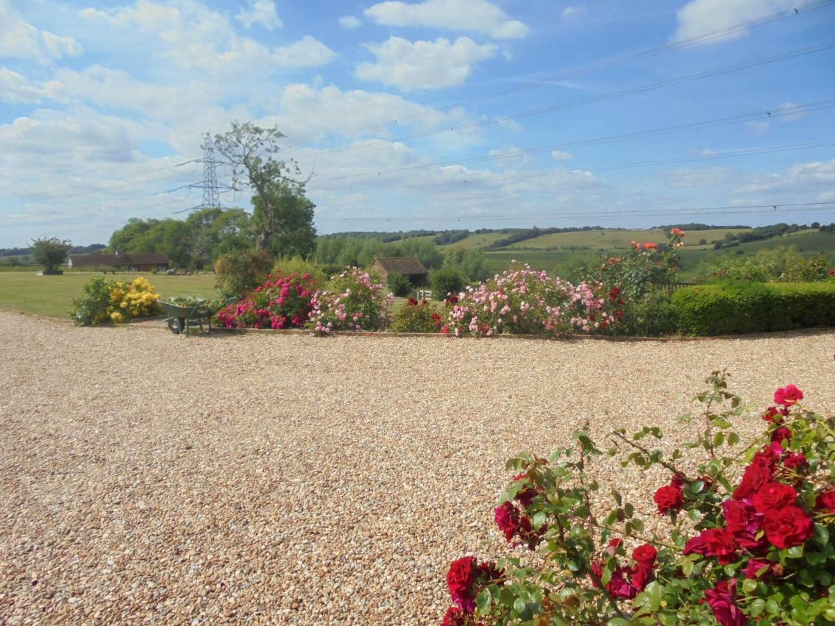 Rose Cottage Rye Dış mekan fotoğraf